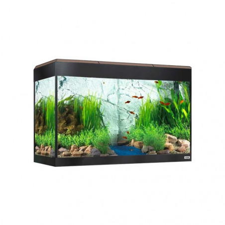 KIT ACUARIO FLUVAL ROMA 125L NOGAL BLUETOOTH