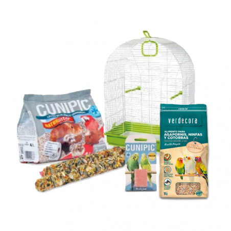 LOTE AGAPORNIS VERDECORA