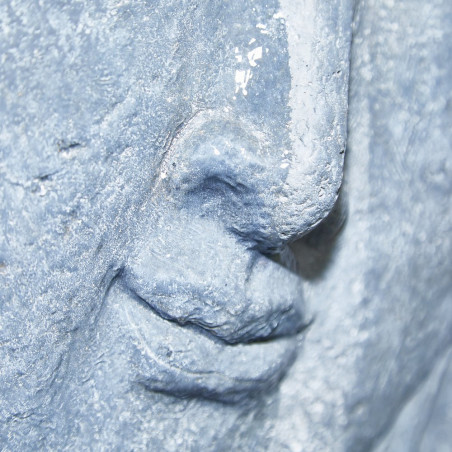 FUENTE EXTERIOR CARA DE BUDA.