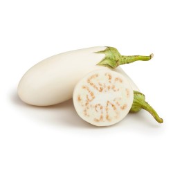 BERENJENA BLANCA MACETA 11CM