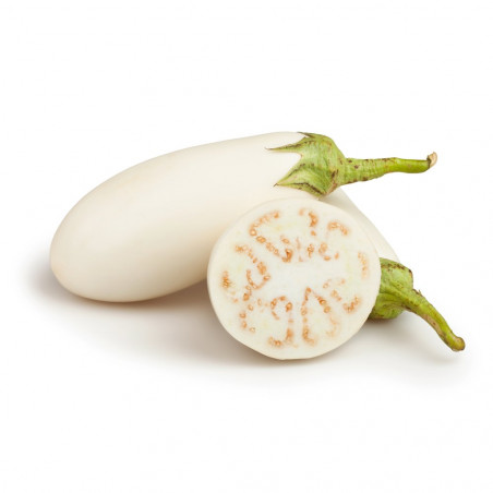 BERENJENA BLANCA MACETA 11CM