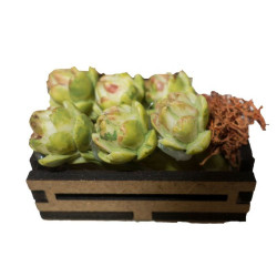 CAJON ALCACHOFAS 4 CM