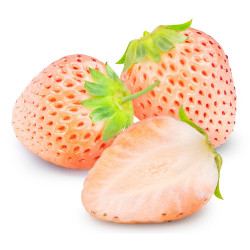 FRESA ANANAS MACETA 11CM