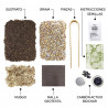 KIT TERRARIO SUCULENTAS