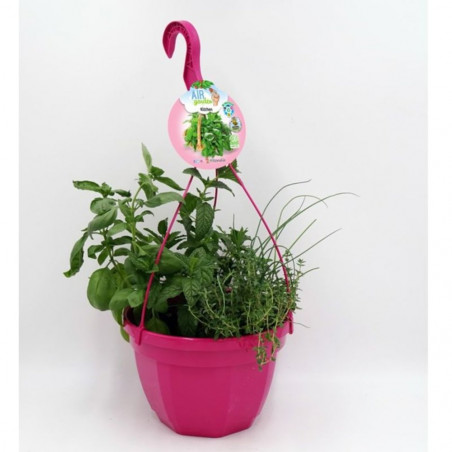AIRGARDEN MIX CULINARIAS TARRINA 23CM