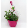 AIRGARDEN MIX CULINARIAS TARRINA 23CM