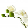 ORQUÍDEA PHALAENOPSIS ARTIFICIAL BLANCA EN MACETA 45CM