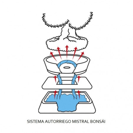 SISTEMA DE AUTO-RIEGO PARA BONSAIS