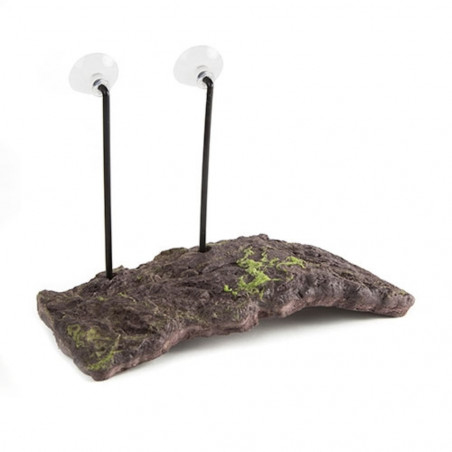 ISLA FLOTANTE PARA TORTUGAS