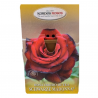 ROSAL KORDES MACETA 20CM