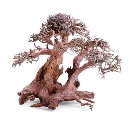 BONSAI RAÍZ AMPLIA 24 X 16 X 20 CM