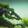 BONSAI RAÍZ AMPLIA 24 X 16 X 20 CM