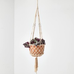 PLANTA AMOR DE HOMBRE COLGANTE MACETA 19CM