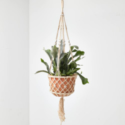 HELECHO CUERNO DE ALCE TARRINA COLGANTE 19CM