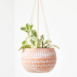 PEPEROMIA COLGANTE MACETA 15CM