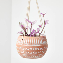 TRADESCANTIA NANOUK COLGANTE