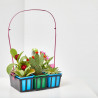 CACTUS DECORADOS CESTA 6 UDS