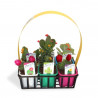 CACTUS DECORADOS CESTA 6 UDS