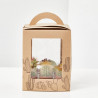 CACTUS M-3.5 9UDS EN CAJA DECO KRAFT