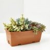 CRASAS EXTERIOR JARDINERA 25CM