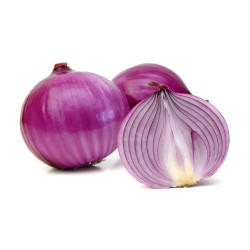 CEBOLLA MORADA 50 PLANTAS