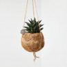 SUCULENTAS KOKEDAMA COLGANTE