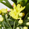COMPOSICIÓN FLORES EN CESTA DE MIMBRE PEQUEÑA