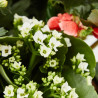 COMPOSICIÓN FLORES EN CESTA DE MIMBRE PEQUEÑA