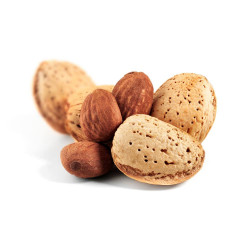 ALMENDRO MARCONA MACETA 10 LITROS