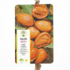 ALMENDRO MARCONA MACETA 10 LITROS