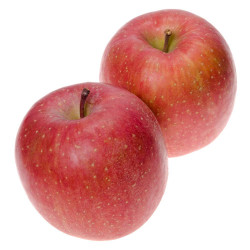 MANZANO FUJI MACETA 10 LITROS