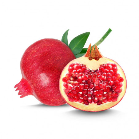 GRANADO NEGRAL MACETA 10L