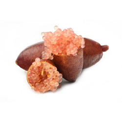 CAVIAR CÍTRICO ROSA MACETA 15CM