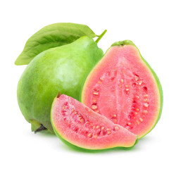 GUAYABA MACETA 7L