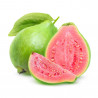 GUAYABA MACETA 7L