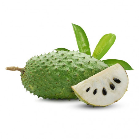 GUANABANA MACETA 7L