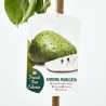 GUANABANA MACETA 7L