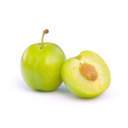 CIRUELO REINA CLAUDIA VERDE 10L