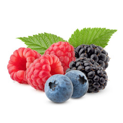 FRUTOS DEL BOSQUE MACETA  11X11CM