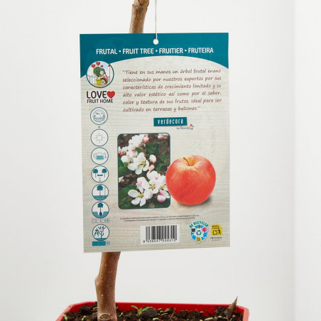 MANZANO ENANO RESIDUO CERO VERDECORA 5 LITROS