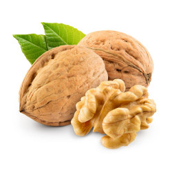 NOGAL 10L RESIDUO CERO VERDECORA