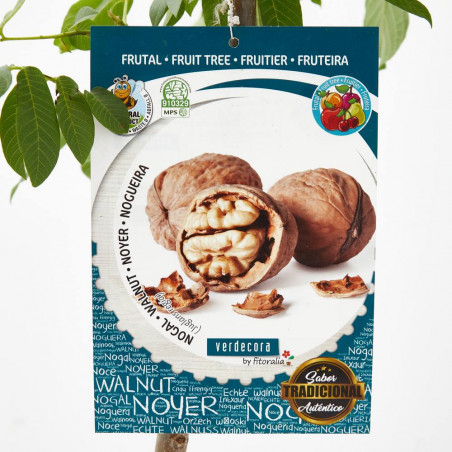 NOGAL 10L RESIDUO CERO VERDECORA