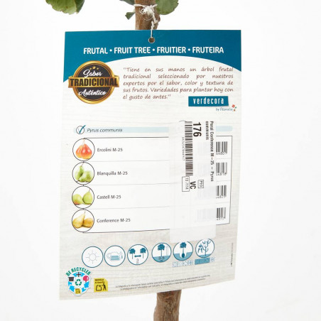 PERAL 10L RESIDUO CERO VERDECORA