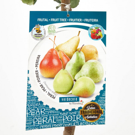 PERAL 10L RESIDUO CERO VERDECORA