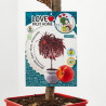 MELOCOTONERO ENANO RESIDUO CERO VERDECORA 5 LITROS