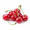 CEREZO GUINDO MACETA 10L