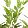 CEREZO GUINDO MACETA 10L