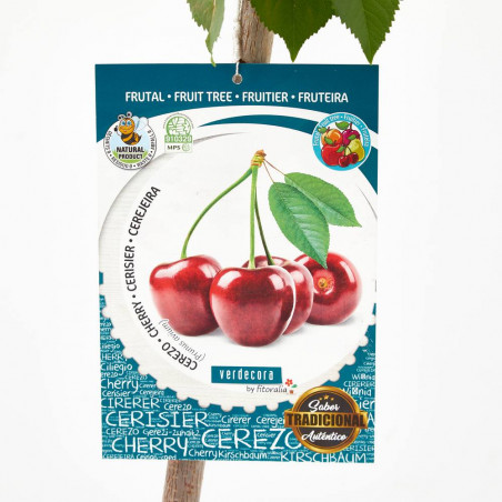 CEREZO 10L RESIDUO  CERO VERDECORA