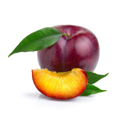 CIRUELO 10L RESIDUO CERO VERDECORA