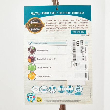CIRUELO 10L RESIDUO CERO VERDECORA